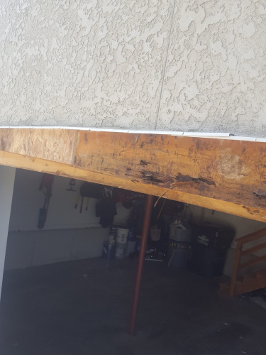 Wood Rot
