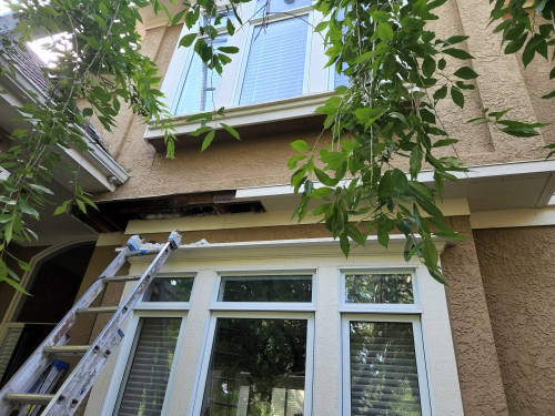Section Wood Replacement